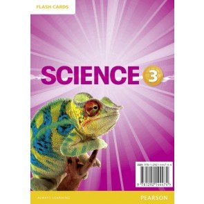 Big Science 3 Flashcards